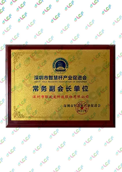 Shenzhen Smart Lamp Pole Industry Promotion Association Executive Vice President Unit