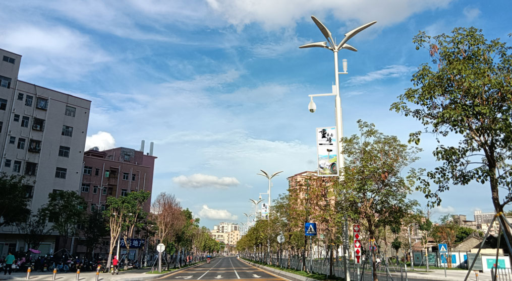 Shenzhen Baoan Smart Lamppost Project