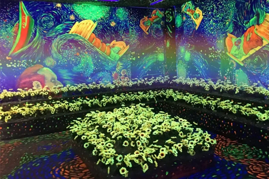 LED bi-colour display: the fusion of technology and visual art LED bi-colour display: the fusion of technology and visual art